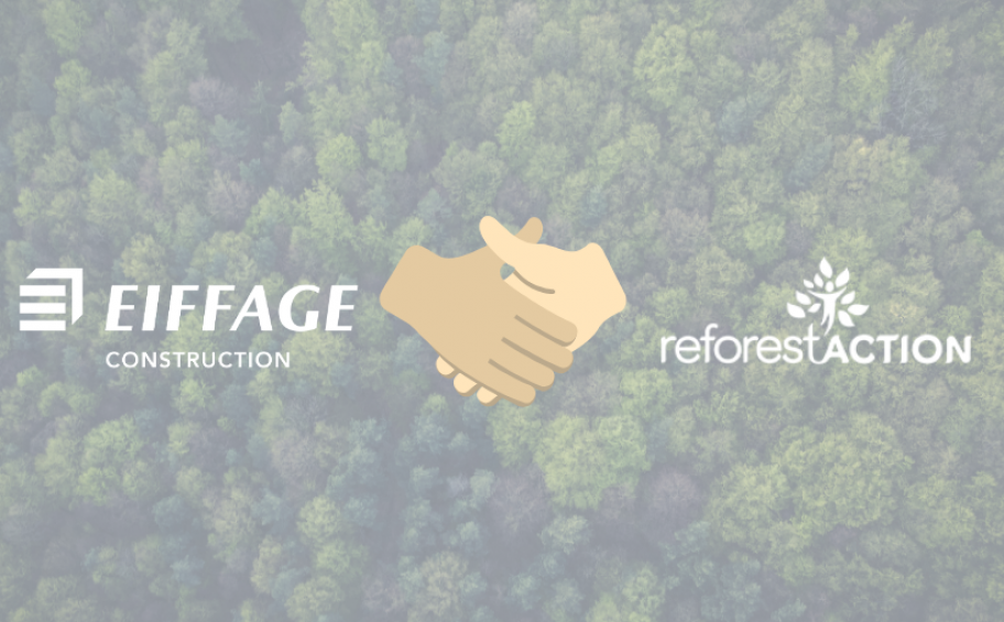 Avec ReforestAction, Eiffage Construction en Auvergne agit pour la biodiversité en restaurant les forêts