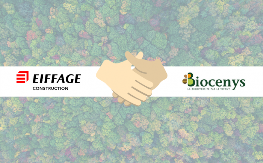 Operation Connexion to nature: Eiffage Construction reduces its carbon impact through sustainable forest management