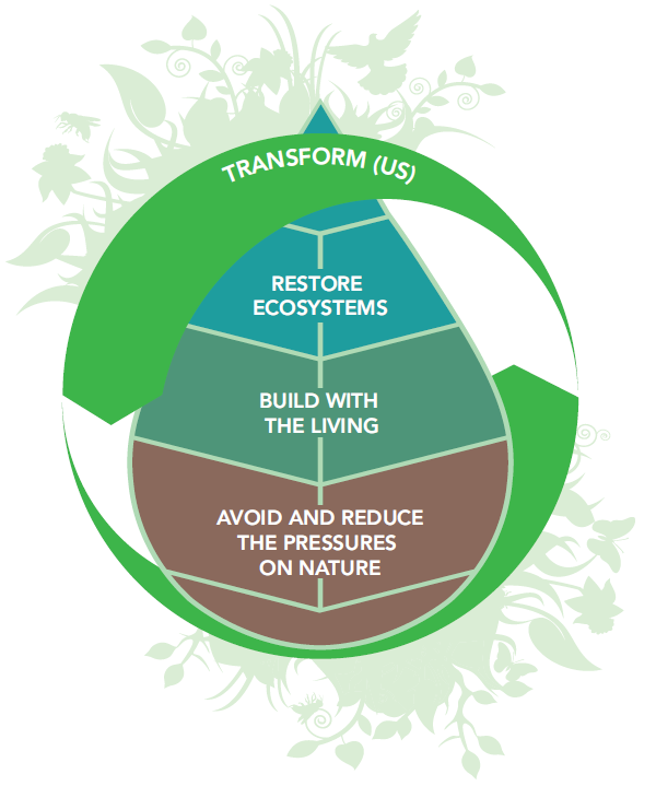 Chart of the 4 main pillars of our circular economy strategy